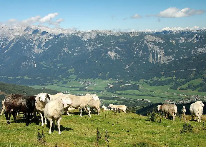 Kolb Haus im Ennstal