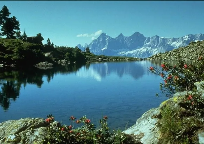 Kolb 恩斯塔尔豪斯